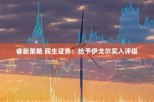 睿新策略 民生证券：给予伊戈尔买入评级